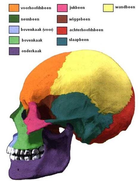 Niet meer geldig Min diameter Hart